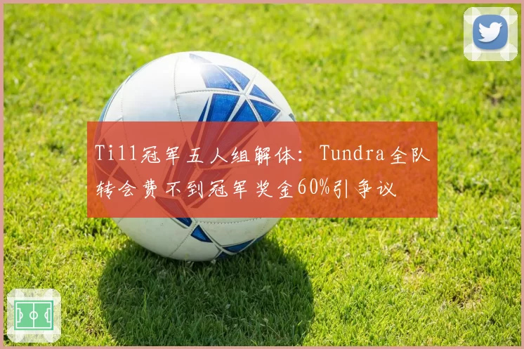 Ti11冠军五人组解体：Tundra全队转会费不到冠军奖金60%引争议