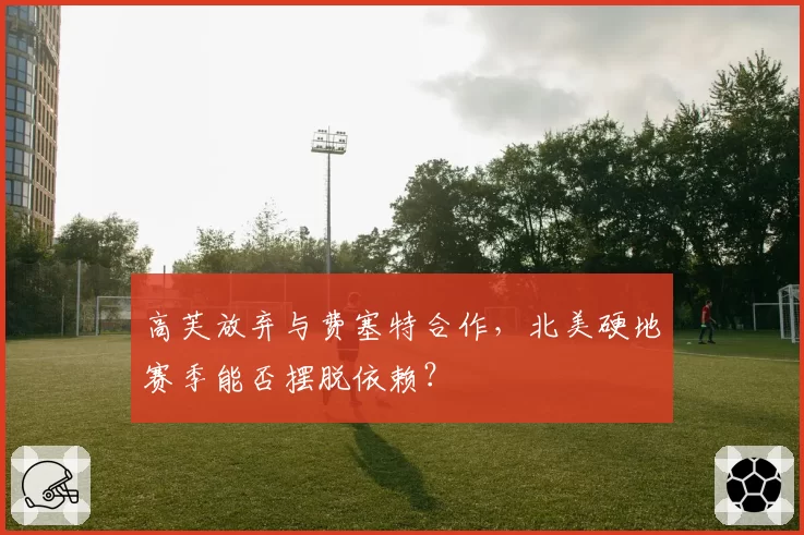 高芙放弃与费塞特合作，北美硬地赛季能否摆脱依赖？