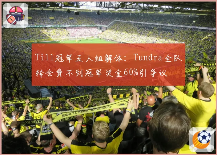 Ti11冠军五人组解体：Tundra全队转会费不到冠军奖金60%引争议