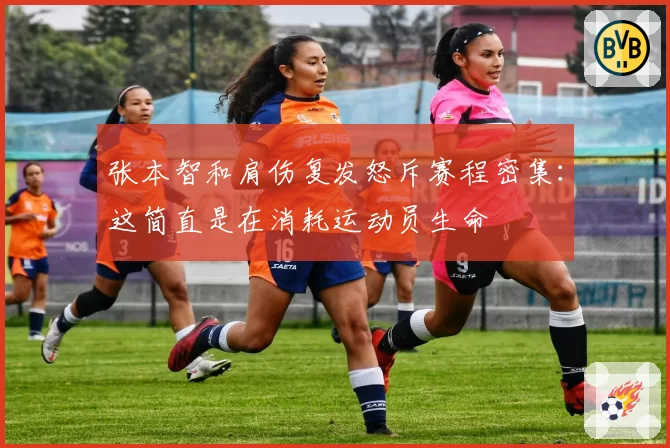 张本智和肩伤复发怒斥赛程密集：这简直是在消耗运动员生命